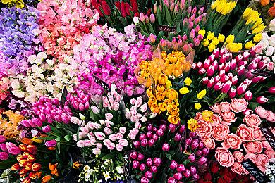 港服任天堂eshop开启秋季优惠 8款大作参与活动