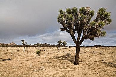 《彩虹六号手游》正式公布 免费、登陆iOS和安卓